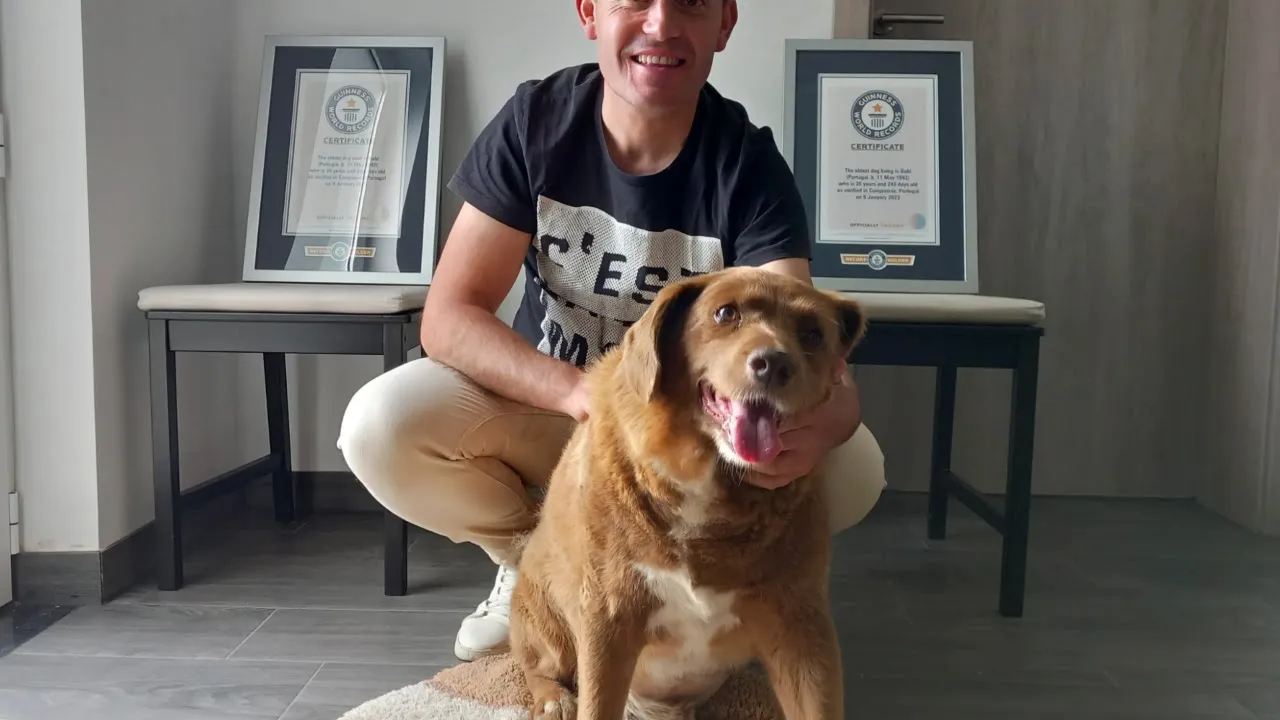 *World’s oldest dog ever dies in Portugal, aged 31