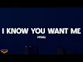 Download Lagu Pitbull - I Know You Want Me (Calle Ocho) (Lyrics)