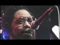 Son Seals - Every Day I Have The Blues