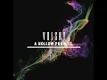 A Hollow Promise - Volsky