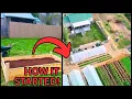Download Lagu HE TURNED HIS BACKYARD GARDEN INTO $100,000 BUSINESS!