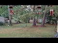 Hummingbird Migration 2024 Greenville Alabama