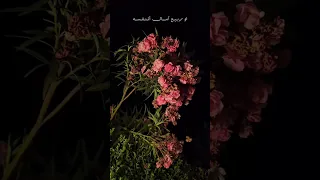 ابد منساك حسين الاكرف 