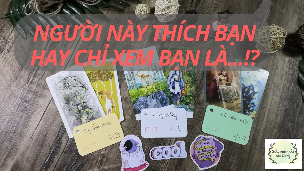 Chọn 1 tụ bài Tarot - Người đó thích bạn hay chỉ xem bạn là - Alo Andy