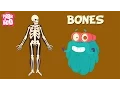 Download Lagu Bones | The Dr. Binocs Show | Learn Videos For Kids