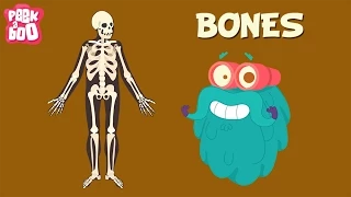 Download Bones | The Dr. Binocs Show | Learn Videos For Kids MP3
