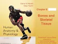Anatomy and Physiology Ch 6 Notes Bones and Skeletal Tissue Part 1