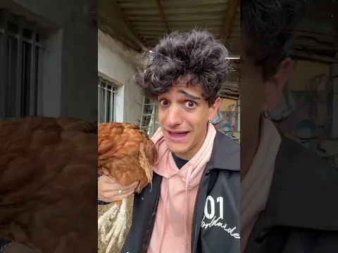 PIERDO una GALLINA y la BUSCO por TODO el PUEBLO!