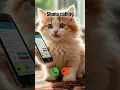 Download Lagu Shona calling #ringtone #cat #trending #cutecat #youtubeshorts #viralshort #calling #kitten
