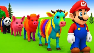 Long Slide Game With Cow Elephant Gorilla Hippopotamus Tiger - 3d Animal Game - Funny 3d Animals