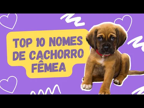 Download MP3 🐶 TOP 10 IDEIAS DE NOMES PARA CACHORRO FÊMEA