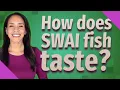 How does SWAI fish taste