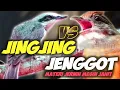 Download Lagu NGGAK NYESEL!!! MATERI JINGJING PETULAK VS CUCAK JENGGOT || PETULAK JINGJING SAMBUNG CUCAK JENGGOT