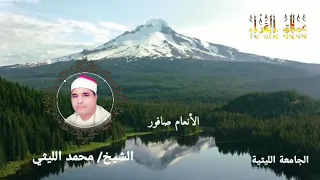 رائعة الأنعام صافور الشيخ محمد الليثي 