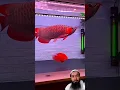 Download Lagu Surah Al Ikhlas is a POWERFUL Prayer by Ibrahimi? #egzonibrahimi #shorts #youtubeshorts