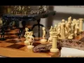 How to Squeeze Like a Python Webb vs Petrosian Chess Story Series