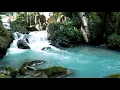 Relaxing Massage Meditation Music with Scenic Beautiful Forest Mountain Aerial 4K shots 65 minutes