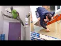 Like a Boss Compilation Amazing Workers That Are on Another Level