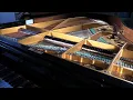 MATHILDA SKONARE KARLSSON- Visible Nostalgia Somber Piano Music - [Mixed with Video and Photos]