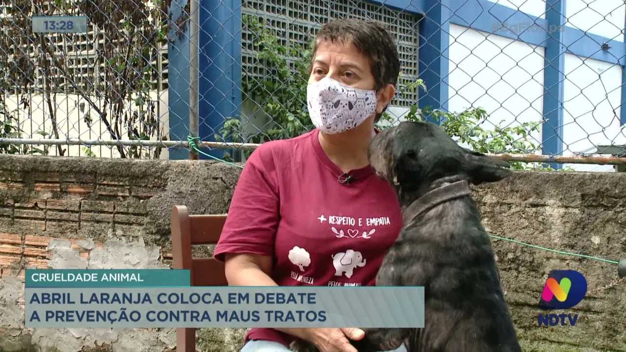 Crueldade animal: Abril Laranja coloca em debate a prevenção contra maus tratos