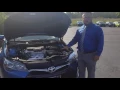 Hydraulic Motor Mounts Toyota Technology