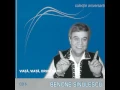 Lagu Benone Sinulescu - Viață, viață, drum cotit