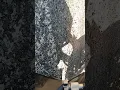 Mt-07 crashes due to gravel from road work