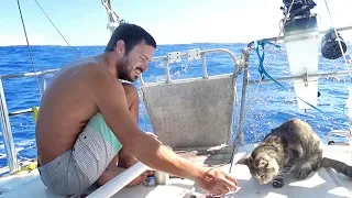 A Mid-Atlantic Birthday Surprise For My Sweetheart (MJ Sailing – EP 78)