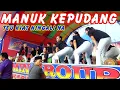 Download Lagu JOGET JAIPONG  4 Manuk kepudang  BAH NAMIN GROUP  PRMMJ  H. ENDING & HJ CICIH, 01/2/22