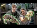 EXOTIC PET STORE TOUR - Fish Reptiles Birds