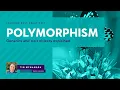 Rust Polymorphism Generics and trait objects explained