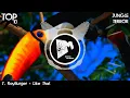 Download Lagu Top 10 Drops: JUNGLE TERROR 🌴 (May 2025)