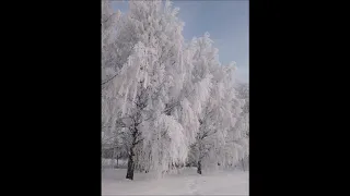 هلو هالو هلو وش گوش ماشاالله بامری 