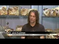 From NFL quarterback to mushroom farmer Jake Plummer s journey from the gridiron to the fields of F
