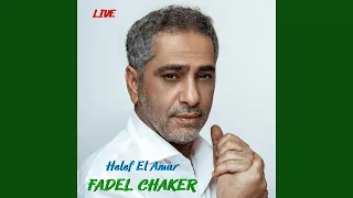                     دندنها