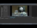 ShotCut How to Export in Full lossless Quality