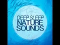 Lakeland Birdlife