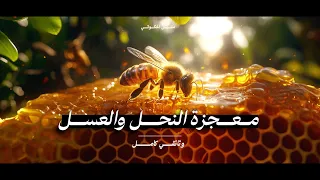 معجزة النحل والعسل أسرار كائن حي ر العالم وثائقي 