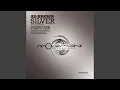 Download Lagu Silver (Deepfunk Remix)