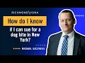 How Do I Know if I Can Sue for a Dog Bite in New York