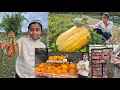Download Lagu The BEST talaga MAGTANIM ng GULAY sa UK | Our Sunday Activities 
