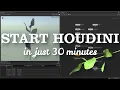 Want to learn Houdini Start Here