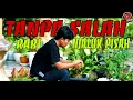 Download Lagu TANPA SALAH RABI NJALUK PISAH (film pendek Indramayu juntikedokan)