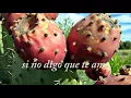 Pepe Aguilar - Ni Contigo, Ni Sin Ti