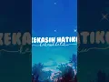 Lagu Kau bukan hanya kekasih hatiku sw wa