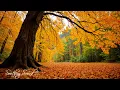 Download Lagu Deep Relaxation, Fast Healing 🍁 Peaceful Autumn Melodie for Soul Healing