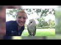 16 Scariest Bird Sounds Ever Recorded !