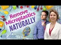 Download Lagu Best Ways to Remove Microplastics From Your System