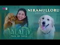 Download Lagu Niramulloru Video Song | Valatty - Tale of Tails | Devan | Vijay Babu | Vijay Yesudas | Varun Sunil