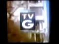 TV Parental Disney Channel 1983-present Logopedia